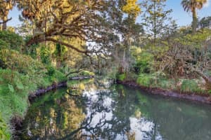 6350 LOST TRAIL, HOLIDAY, FL 34690 - MLS#MFRW7881057