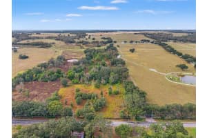 8955 FORT KING ROAD, ZEPHYRHILLS, FL 33541 - MLS#MFRW7881066
