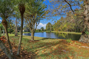 1160 LINDENWOOD DRIVE, TARPON SPRINGS, FL 34688 - MLS#MFRW7881074