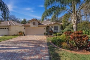 1320 LINDENWOOD DRIVE, TARPON SPRINGS, FL 34688 - MLS#MFRW7881084