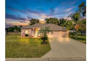 11345 LONG HILL COURT, SPRING HILL, FL 34609 - MLS#MFRW7881113