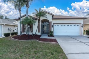 11520 Lounds Ct, NEW PORT RICHEY
