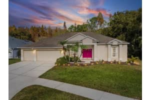 26249 Sword Dancer Dr, WESLEY CHAPEL