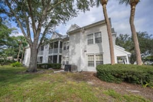 3261 HAVILAND COURT, PALM HARBOR, FL 34684 - MLS#MFRW7881130