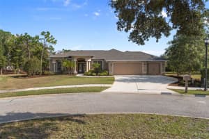 13097 PASTORE COURT, SPRING HILL, FL 34609 - MLS#MFRW7881144