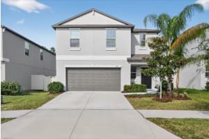 6115 Apple Snail Ave, NEW PORT RICHEY
