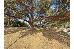 1406 LAKE AVENUE, CLEARWATER, FL 33756 - MLS#MFRW7881181