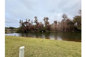 12026 BOYNTON LANE, NEW PORT RICHEY, FL 34654 - MLS#MFRW7881195