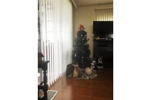 51 DELAWARE COURT, PALM HARBOR, FL 34684 - MLS#MFRW7881214