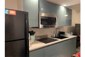 1983 ABRICO DRIVE, LUTZ, FL 33558 - MLS#MFRW7881228