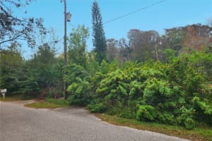 10944 & 10948 ECHO LOOP, NEW PORT RICHEY, FL 34654 Sold 01/12/26