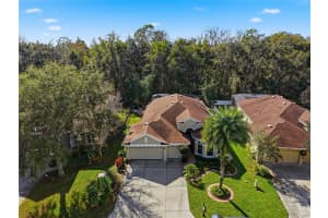 11166 BELLE HAVEN DRIVE, NEW PORT RICHEY, FL 34654 - MLS#MFRW7881298