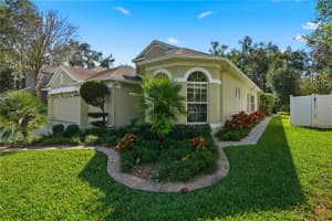 11166 BELLE HAVEN DRIVE, NEW PORT RICHEY, FL 34654 - MLS#MFRW7881298