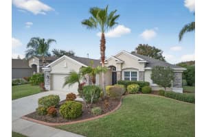 10539 GOOSEBERRY COURT, TRINITY, FL 34655 - MLS#MFRW7881309