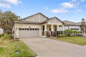 19432 FOREST GARDEN COURT, BROOKSVILLE, FL 34601 - MLS#MFRW7881318