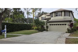 4217 FISHERMANS LAKE DRIVE, LUTZ, FL 33558 - MLS#MFRW7881344