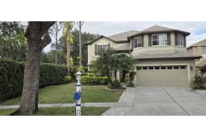 4217 FISHERMANS LAKE DRIVE, LUTZ, FL 33558 - MLS#MFRW7881344