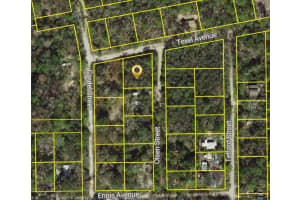 OLSEN ST, NEW PORT RICHEY, FL 34654 - MLS#MFRW7881345