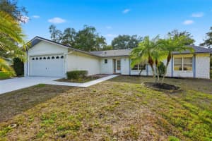 10535 HARDWOOD COURT, PORT RICHEY, FL 34668 - MLS#MFRW7881346