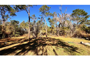 1089 ANDERSON SNOW ROAD, SPRING HILL, FL 34609 - MLS#MFRW7881378