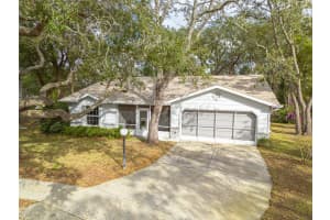 8619 GOLD PINE DRIVE, PORT RICHEY, FL 34668 - MLS#MFRW7881379