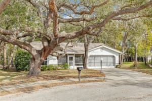 8619 GOLD PINE DRIVE, PORT RICHEY, FL 34668 - MLS#MFRW7881379