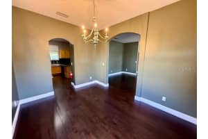 3914 ROSWELL PLACE, LAND O LAKES, FL 34639 - MLS#MFRW7881410