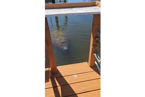 7619 HATTERAS DRIVE, HUDSON, FL 34667 - MLS#MFRW7881417