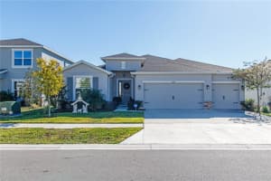 7629 BROAD RIVER AVENUE, LAND O LAKES, FL 34638 - MLS#MFRW7881422