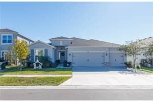 7629 BROAD RIVER AVENUE, LAND O LAKES, FL 34638 - MLS#MFRW7881424