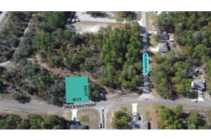 7452 GALT POINT, CITRUS SPRINGS, FL 34434 - MLS#MFRW7881431