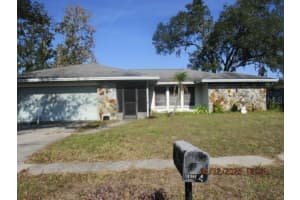 17849 Morninghigh Dr, LUTZ