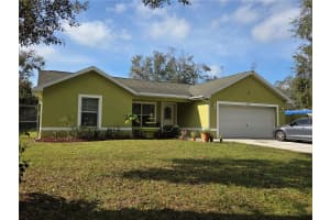 11345 HANIS STREET, NEW PORT RICHEY, FL 34654 - MLS#MFRW7881440