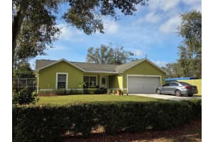 11345 HANIS STREET, NEW PORT RICHEY, FL 34654 - MLS#MFRW7881440