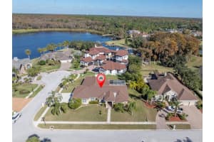 4151 Eagle Watch Blvd, PALM HARBOR