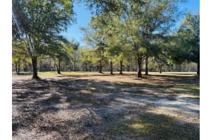 16226 41ST PLACE, WELLBORN, FL 32094 - MLS#MFRW7881450