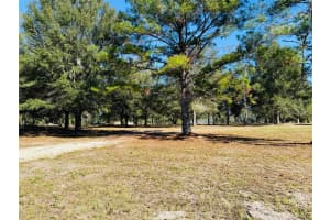 16226 41ST PLACE, WELLBORN, FL 32094 - MLS#MFRW7881450