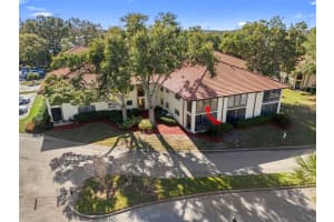 1712 HAMMOCK PINE BOULEVARD, CLEARWATER, FL 33761 - MLS#MFRW7881456