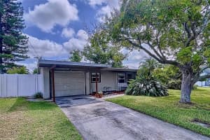 311 MORNINGSIDE DRIVE, PALM HARBOR, FL 34683 - MLS#MFRW7881475