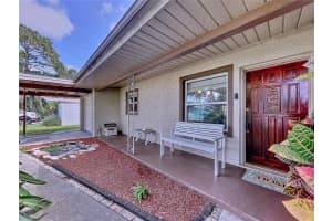 311 MORNINGSIDE DRIVE, PALM HARBOR, FL 34683 - MLS#MFRW7881475