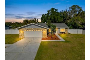 23015 MAYFAIR ROAD, LAND O LAKES, FL 34639 - MLS#MFRW7881487