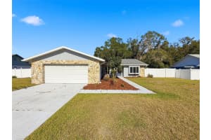 23015 MAYFAIR ROAD, LAND O LAKES, FL 34639 - MLS#MFRW7881487