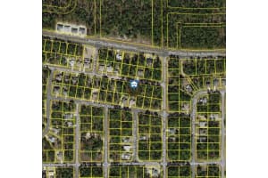846 HEMLOCK DRIVE, CITRUS SPRINGS, FL 34434 - MLS#MFRW7881490