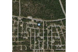 846 HEMLOCK DRIVE, CITRUS SPRINGS, FL 34434 - MLS#MFRW7881490