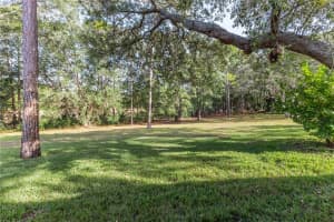 3008 WHISPERING PINES COURT, SPRING HILL, FL 34606 - MLS#MFRW7881491