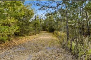 0 BACKWOODS WAY, BROOKSVILLE, FL 34614 - MLS#MFRW7881493