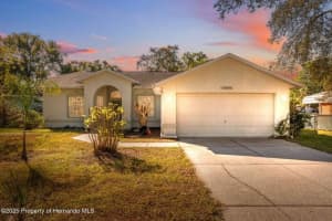 10290 ADLER STREET, SPRING HILL, FL 34608 - MLS#MFRW7881505