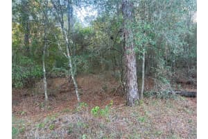 Lot 4+ BLAIR AVENUE, BROOKSVILLE, FL 34604 - MLS#MFRW7881517