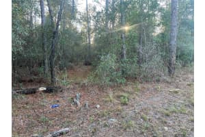 Lot 4+ BLAIR AVENUE, BROOKSVILLE, FL 34604 - MLS#MFRW7881517
