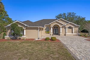 9376 BEARWALK PATH, WEEKI WACHEE, FL 34613 - MLS#MFRW7881523